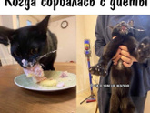 Тут у меня другая