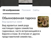 ???Во дворе дома Я