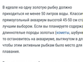 дорогие все срочно)) аквариумная тема 2))