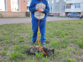 Фанатеют ли ваши дети