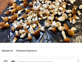 Урожай))