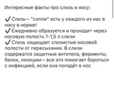А у нас как всегда - сопли...