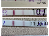 7 ДПП