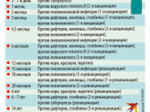 Кто соображает в прививках,