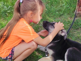Как пережить потерю четвероногого друга?🐶