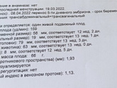 Первый скрининг 12 недель и 3 дня