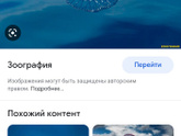 Парусница