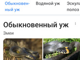 ???Во дворе дома Я
