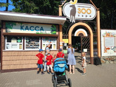 Непутевые заметки