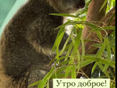 Всё время хочу спать 🥱