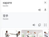 Кто понимает в каратэ,