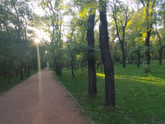 Доброе осеннее утро 🍁