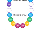 Новый зубик 🦷17-й 💪🏼