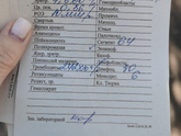 Как понять бактерия или