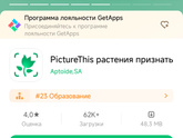 Что за кустик