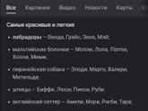 Лабрадор, кличка.