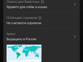 Девочки , подскажите название этого растения )