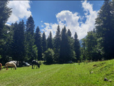 Поездка🏞️ Начало