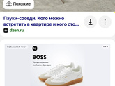 Похожи эти пауки как