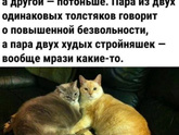 Насколько вы гармоничная пара?