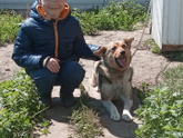 Щенок.