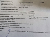Я повторно позвонила в