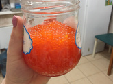 Форель