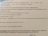 5 недель и 5 дней, первое УЗИ