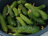 Маринованные огурцы