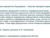 Мазок, цитограмма - о чём говорит результат ?