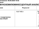 ХГЧ