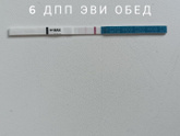 6дпп и кровь 🆘