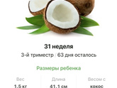 31 неделя .