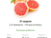 21 неделя .