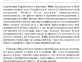 Про прикорм