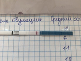 7 Дпо начала мочить тесты 3 цикл планирования