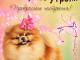 Доброе утро ?.