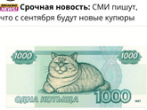Голосуем за новую купюру)))