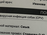 18 числа у меня
