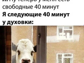 Электродуховка разрешение нужно, вместо газовой?
