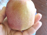 Новый месяц. Новые траты на продукты