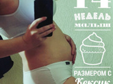 животик
