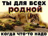 Вам было когда-нибудь обидно до глубины души? Как справились?