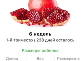6 недель .