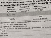 Повышенный Пролактин