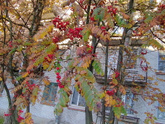 Петербург прекрасен