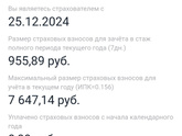 ИП на НПД. Декретные. часть 2.