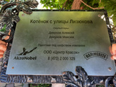 Воронеж отзовись
