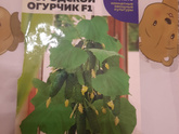 Купила пирожок с капустой)))