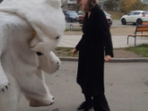 Заказала я медведя.
